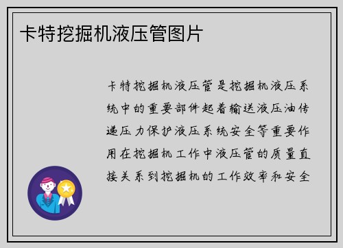 卡特挖掘机液压管图片